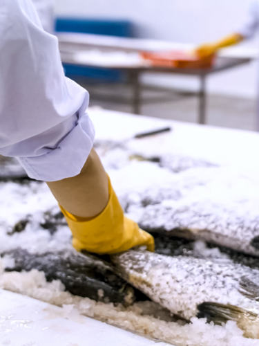 Our commercial dishwasher guarantees optimal hygiene safety.